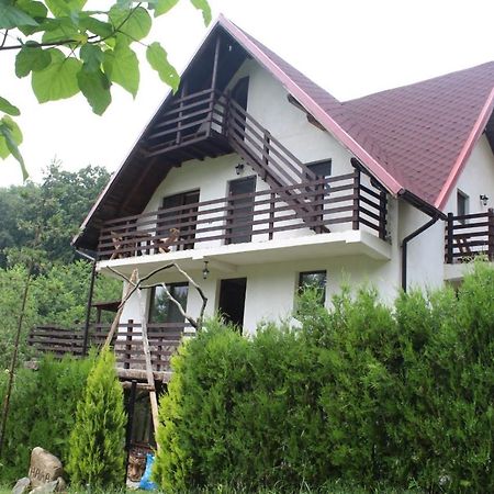 Hotel Havva Călimăneşti Exteriér fotografie