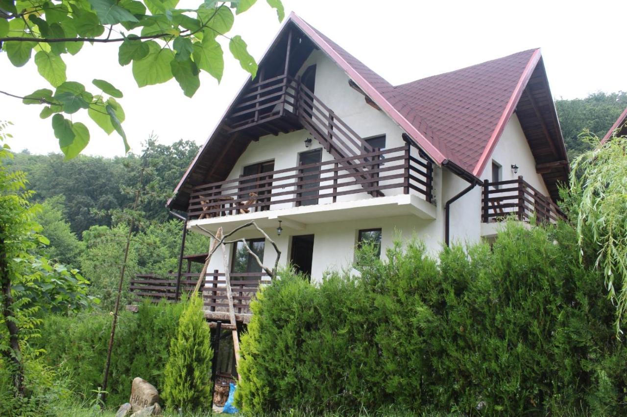 Hotel Havva Călimăneşti Exteriér fotografie