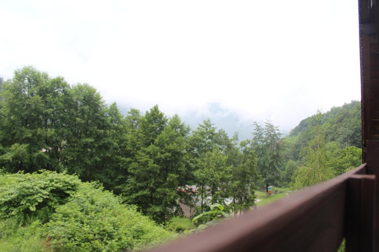 Hotel Havva Călimăneşti Exteriér fotografie