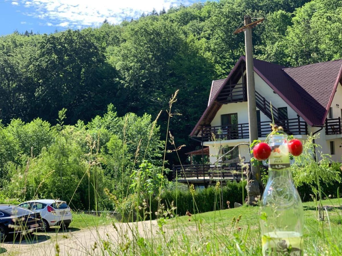 Hotel Havva Călimăneşti Exteriér fotografie