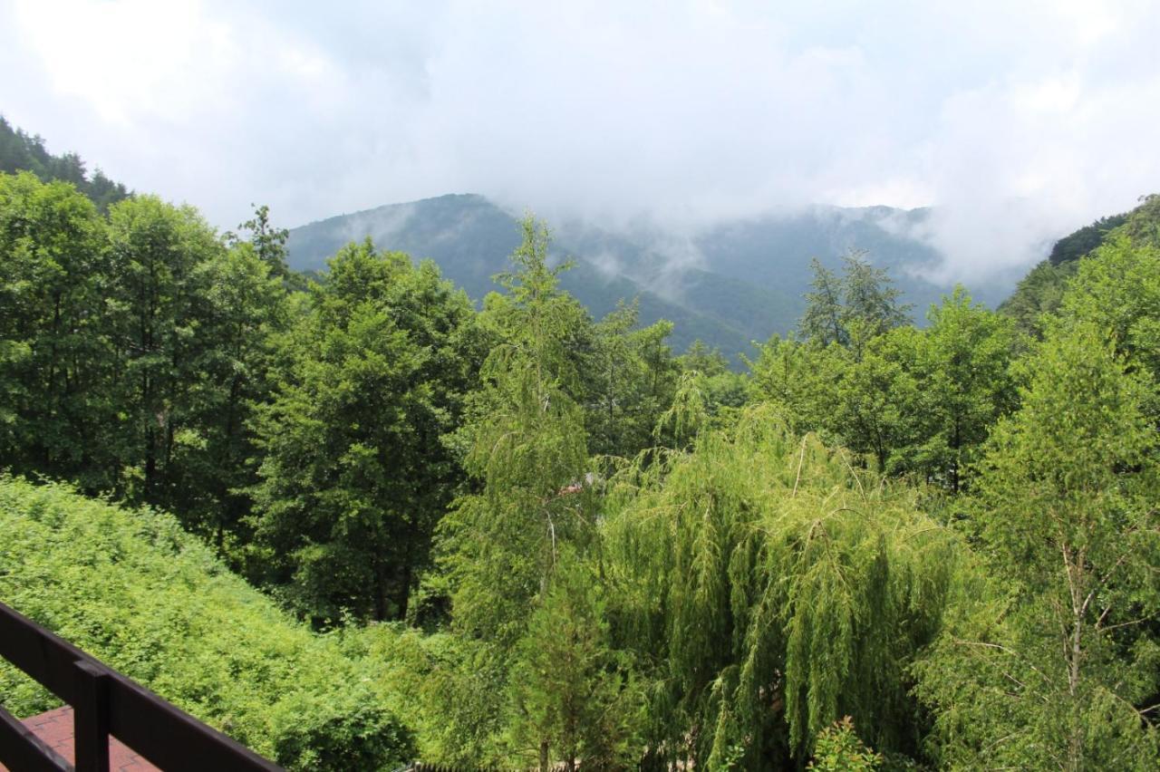 Hotel Havva Călimăneşti Exteriér fotografie