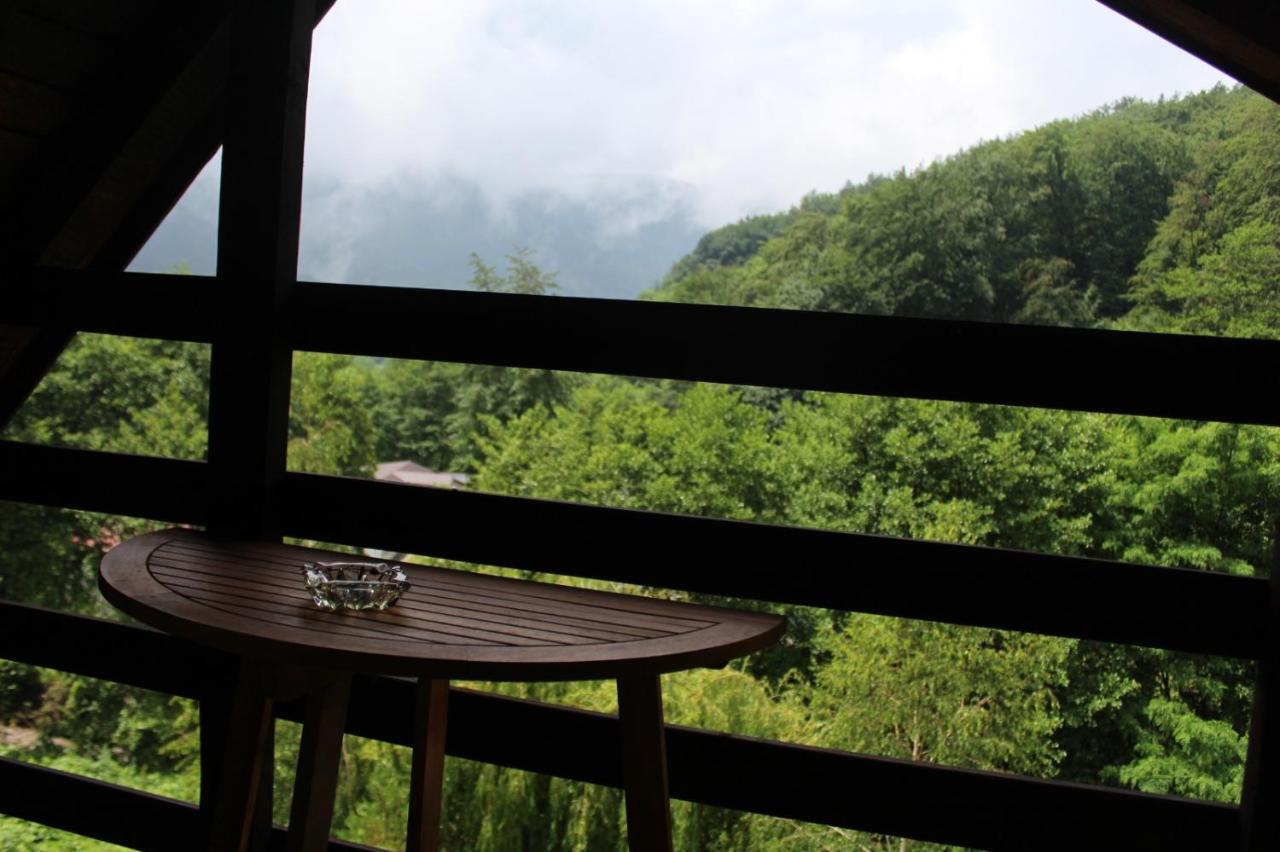 Hotel Havva Călimăneşti Exteriér fotografie