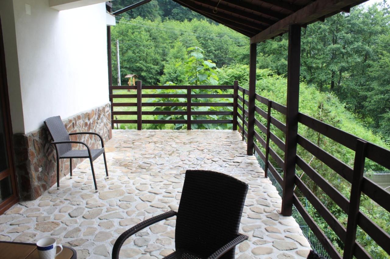 Hotel Havva Călimăneşti Exteriér fotografie