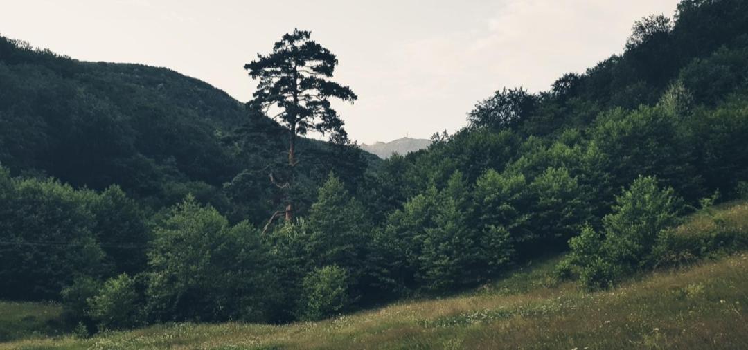 Hotel Havva Călimăneşti Exteriér fotografie