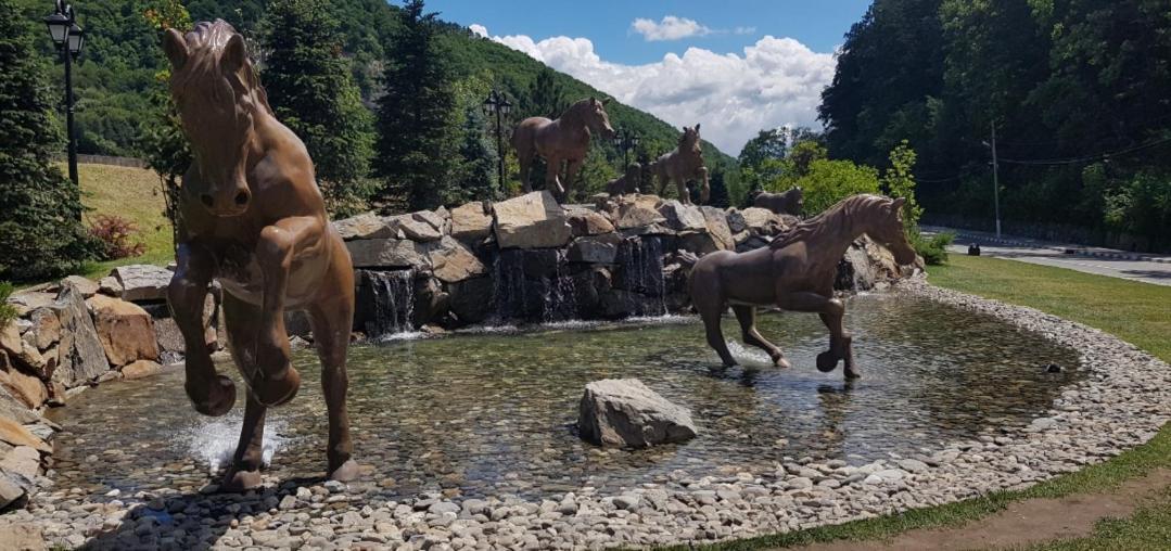 Hotel Havva Călimăneşti Exteriér fotografie