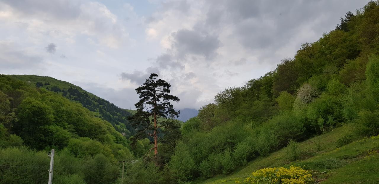 Hotel Havva Călimăneşti Exteriér fotografie
